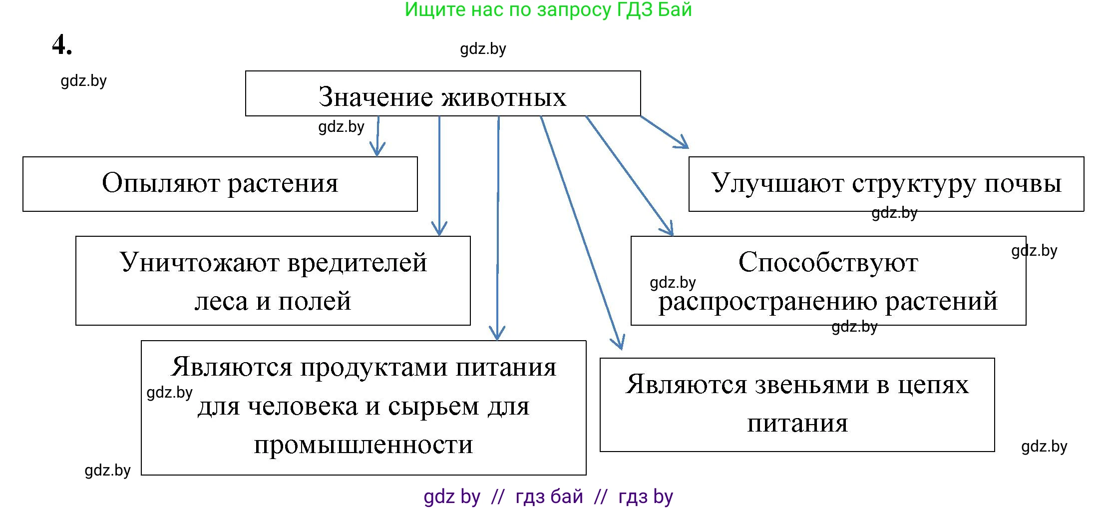 Биология, 8 класс рабочая тетрадь, автор: Лисов Николай Дмитриевич, издательство Аверсэв, Минск, 2018, зелёного цвета, страница 5, номер 4, Решение