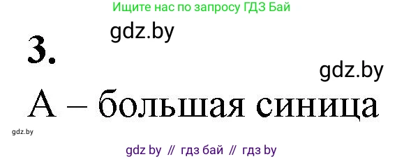 Биология, 8 класс рабочая тетрадь, автор: Лисов Николай Дмитриевич, издательство Аверсэв, Минск, 2018, зелёного цвета, страница 94, номер 3, Решение