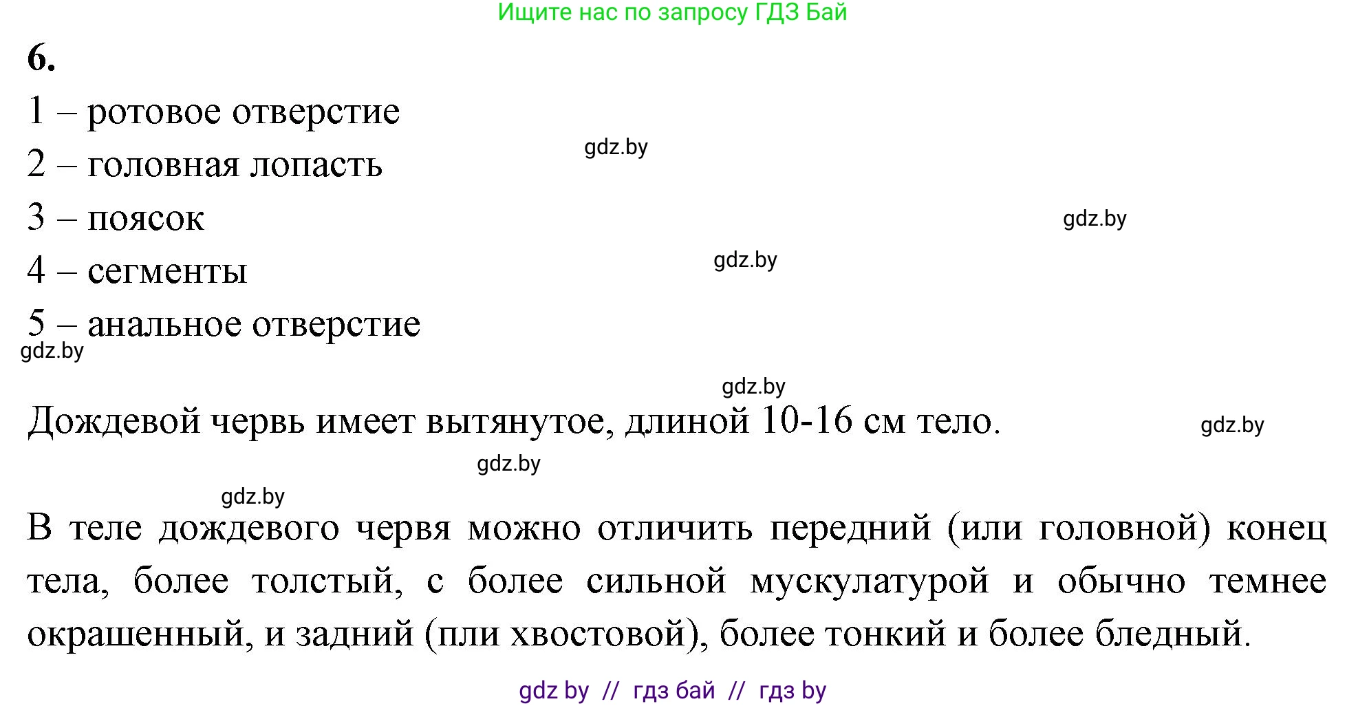 Биология, 8 класс рабочая тетрадь, автор: Лисов Николай Дмитриевич, издательство Аверсэв, Минск, 2018, зелёного цвета, страница 16, номер 6, Решение