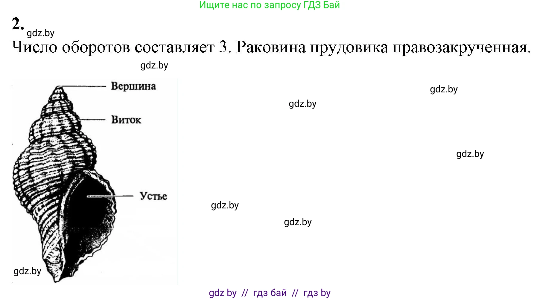 Биология, 8 класс рабочая тетрадь, автор: Лисов Николай Дмитриевич, издательство Аверсэв, Минск, 2018, зелёного цвета, страница 23, номер 2, Решение