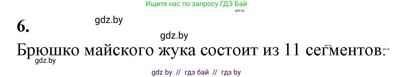 Биология, 8 класс рабочая тетрадь, автор: Лисов Николай Дмитриевич, издательство Аверсэв, Минск, 2018, зелёного цвета, страница 45, номер 6, Решение