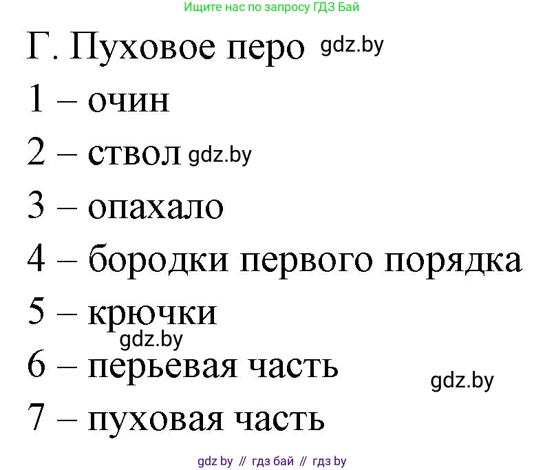 Биология, 8 класс рабочая тетрадь, автор: Лисов Николай Дмитриевич, издательство Аверсэв, Минск, 2018, зелёного цвета, страница 85, номер 7, Решение (продолжение 2)