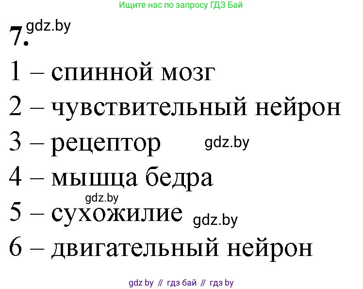 Биология, 9 класс рабочая тетрадь, авторы: Борисов Олег Леонидович, Антипенко Алеся Анатольевна, Мащенко Михаил Васильевич, издательство Аверсэв, Минск, 2019, салатового цвета, страница 16, номер 7, Решение