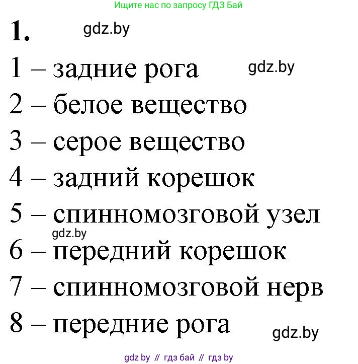 Биология, 9 класс рабочая тетрадь, авторы: Борисов Олег Леонидович, Антипенко Алеся Анатольевна, Мащенко Михаил Васильевич, издательство Аверсэв, Минск, 2019, салатового цвета, страница 18, номер 1, Решение