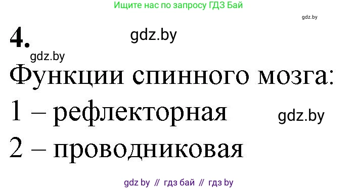 Биология, 9 класс рабочая тетрадь, авторы: Борисов Олег Леонидович, Антипенко Алеся Анатольевна, Мащенко Михаил Васильевич, издательство Аверсэв, Минск, 2019, салатового цвета, страница 19, номер 4, Решение