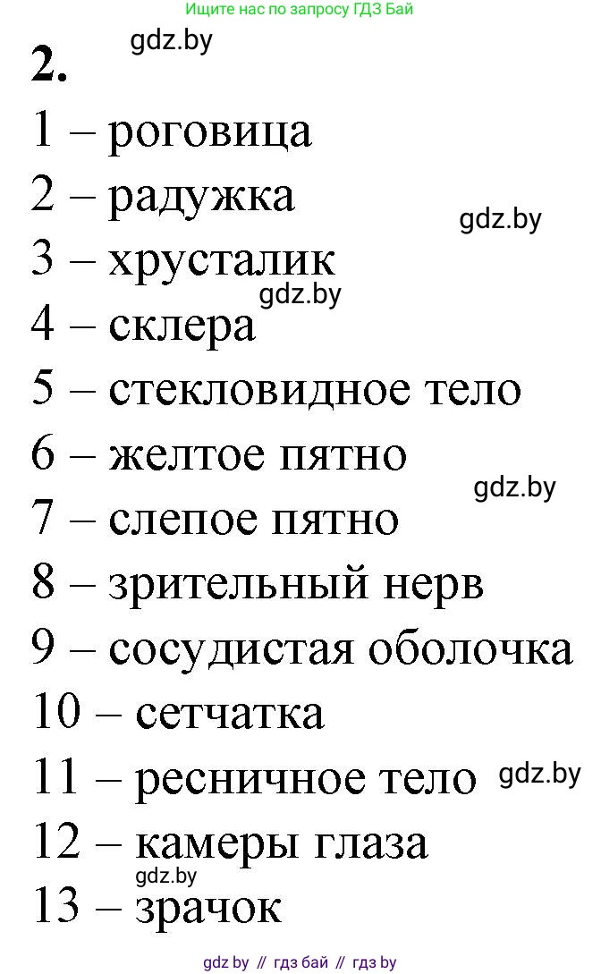 Биология, 9 класс рабочая тетрадь, авторы: Борисов Олег Леонидович, Антипенко Алеся Анатольевна, Мащенко Михаил Васильевич, издательство Аверсэв, Минск, 2019, салатового цвета, страница 25, номер 2, Решение