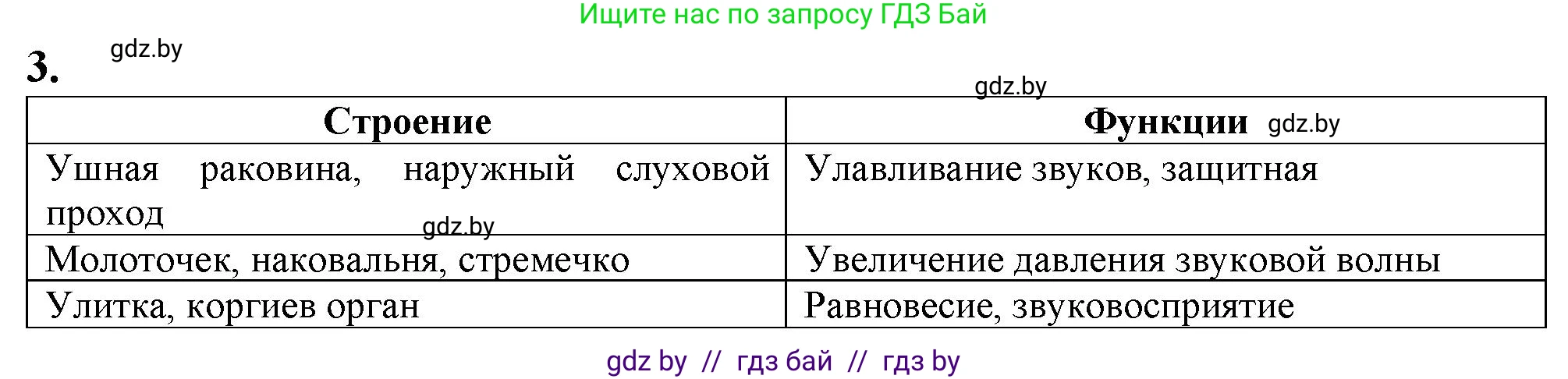 Биология, 9 класс рабочая тетрадь, авторы: Борисов Олег Леонидович, Антипенко Алеся Анатольевна, Мащенко Михаил Васильевич, издательство Аверсэв, Минск, 2019, салатового цвета, страница 31, номер 3, Решение