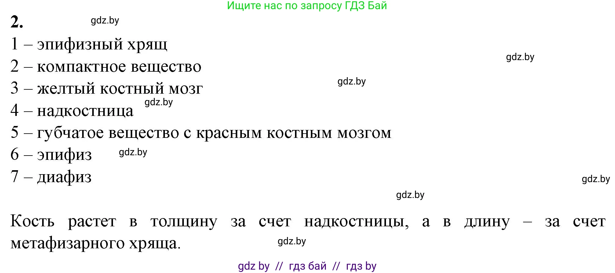 Биология, 9 класс рабочая тетрадь, авторы: Борисов Олег Леонидович, Антипенко Алеся Анатольевна, Мащенко Михаил Васильевич, издательство Аверсэв, Минск, 2019, салатового цвета, страница 38, номер 2, Решение