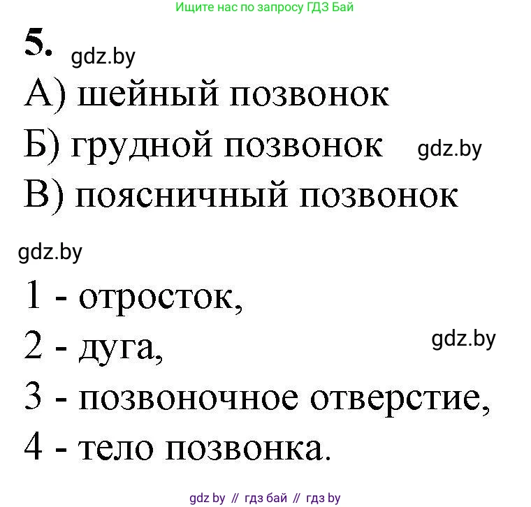 Биология, 9 класс рабочая тетрадь, авторы: Борисов Олег Леонидович, Антипенко Алеся Анатольевна, Мащенко Михаил Васильевич, издательство Аверсэв, Минск, 2019, салатового цвета, страница 42, номер 5, Решение