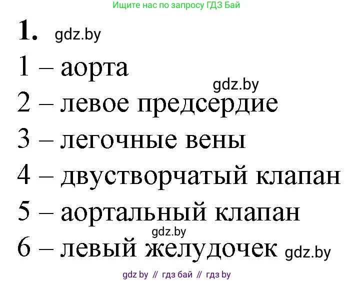 Биология, 9 класс рабочая тетрадь, авторы: Борисов Олег Леонидович, Антипенко Алеся Анатольевна, Мащенко Михаил Васильевич, издательство Аверсэв, Минск, 2019, салатового цвета, страница 59, номер 1, Решение