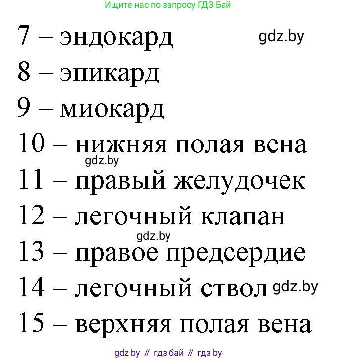 Биология, 9 класс рабочая тетрадь, авторы: Борисов Олег Леонидович, Антипенко Алеся Анатольевна, Мащенко Михаил Васильевич, издательство Аверсэв, Минск, 2019, салатового цвета, страница 59, номер 1, Решение (продолжение 2)