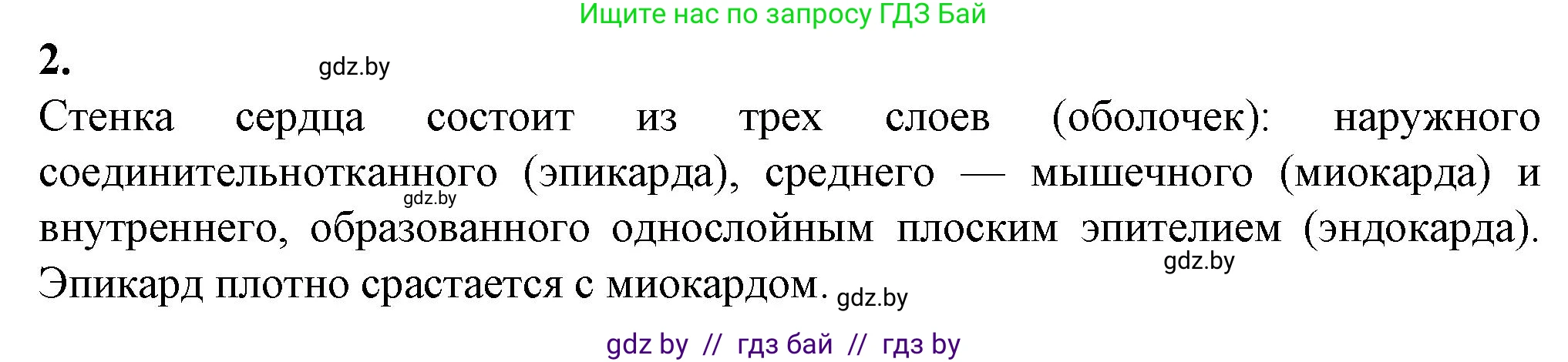 Биология, 9 класс рабочая тетрадь, авторы: Борисов Олег Леонидович, Антипенко Алеся Анатольевна, Мащенко Михаил Васильевич, издательство Аверсэв, Минск, 2019, салатового цвета, страница 59, номер 2, Решение