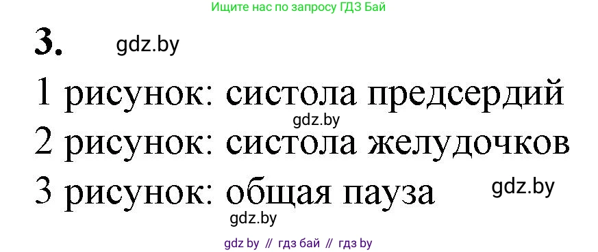 Биология, 9 класс рабочая тетрадь, авторы: Борисов Олег Леонидович, Антипенко Алеся Анатольевна, Мащенко Михаил Васильевич, издательство Аверсэв, Минск, 2019, салатового цвета, страница 60, номер 3, Решение