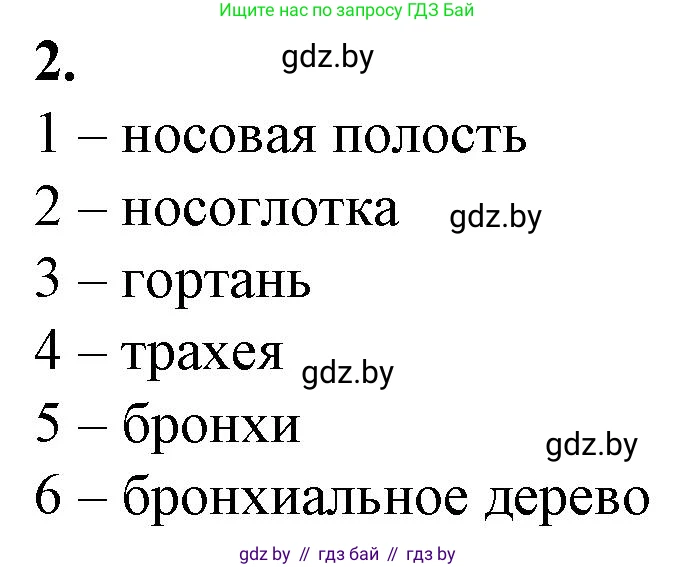 Биология, 9 класс рабочая тетрадь, авторы: Борисов Олег Леонидович, Антипенко Алеся Анатольевна, Мащенко Михаил Васильевич, издательство Аверсэв, Минск, 2019, салатового цвета, страница 68, номер 2, Решение