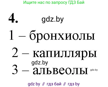 Биология, 9 класс рабочая тетрадь, авторы: Борисов Олег Леонидович, Антипенко Алеся Анатольевна, Мащенко Михаил Васильевич, издательство Аверсэв, Минск, 2019, салатового цвета, страница 69, номер 4, Решение
