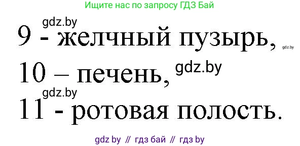 Биология, 9 класс рабочая тетрадь, авторы: Борисов Олег Леонидович, Антипенко Алеся Анатольевна, Мащенко Михаил Васильевич, издательство Аверсэв, Минск, 2019, салатового цвета, страница 84, номер 1, Решение (продолжение 2)