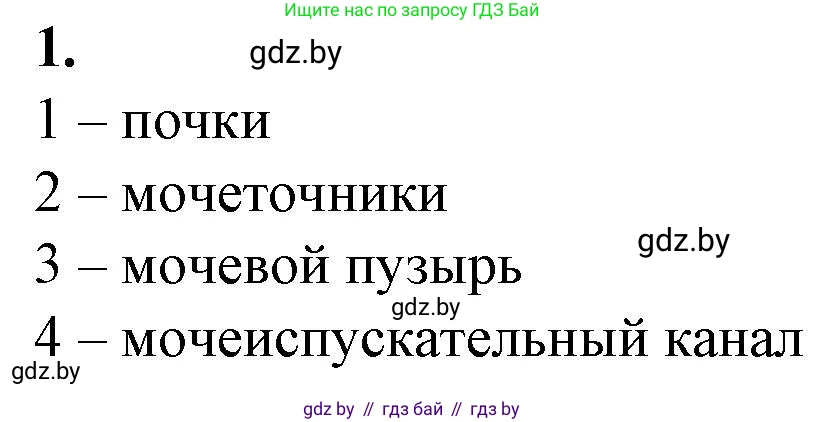 Биология, 9 класс рабочая тетрадь, авторы: Борисов Олег Леонидович, Антипенко Алеся Анатольевна, Мащенко Михаил Васильевич, издательство Аверсэв, Минск, 2019, салатового цвета, страница 92, номер 1, Решение