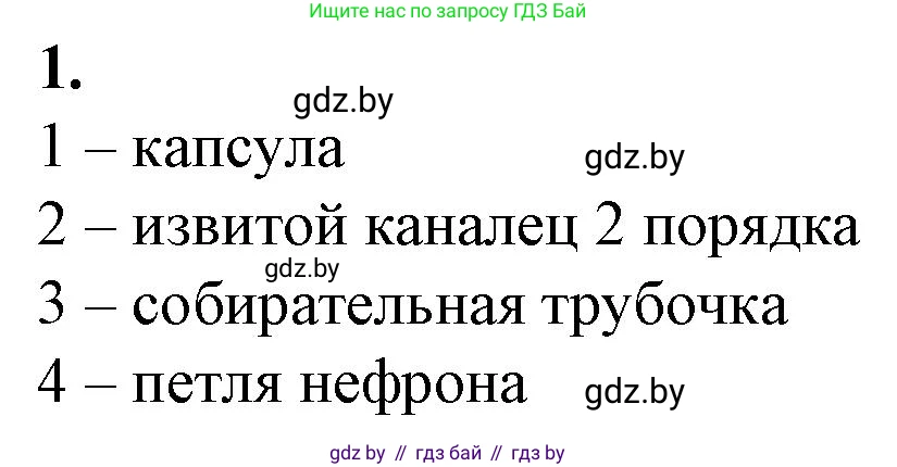 Биология, 9 класс рабочая тетрадь, авторы: Борисов Олег Леонидович, Антипенко Алеся Анатольевна, Мащенко Михаил Васильевич, издательство Аверсэв, Минск, 2019, салатового цвета, страница 93, номер 1, Решение