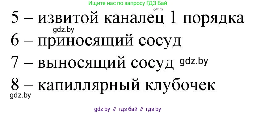 Биология, 9 класс рабочая тетрадь, авторы: Борисов Олег Леонидович, Антипенко Алеся Анатольевна, Мащенко Михаил Васильевич, издательство Аверсэв, Минск, 2019, салатового цвета, страница 93, номер 1, Решение (продолжение 2)