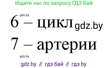 Биология, 9 класс рабочая тетрадь, авторы: Борисов Олег Леонидович, Антипенко Алеся Анатольевна, Мащенко Михаил Васильевич, издательство Аверсэв, Минск, 2019, салатового цвета, страница 61, Решение (продолжение 2)