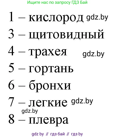 Биология, 9 класс рабочая тетрадь, авторы: Борисов Олег Леонидович, Антипенко Алеся Анатольевна, Мащенко Михаил Васильевич, издательство Аверсэв, Минск, 2019, салатового цвета, страница 74, Решение (продолжение 2)