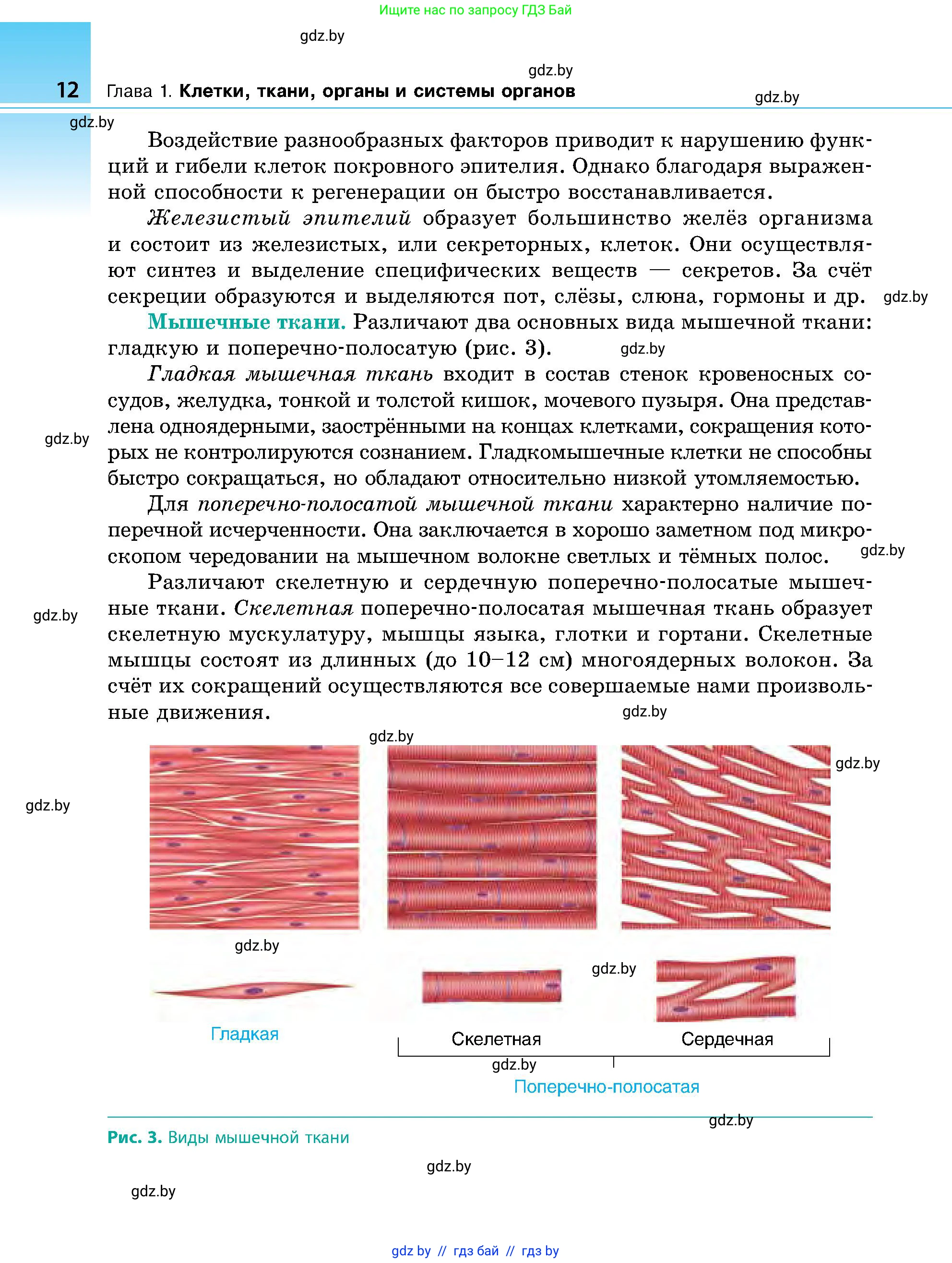 Биология, 9 класс Учебник, авторы: Борисов Олег Леонидович, Антипенко Алеся Анатольевна, Рогожников Олег Николаевич, издательство Адукацыя i выхаванне, Минск, 2025, бирюзового цвета, страница 12