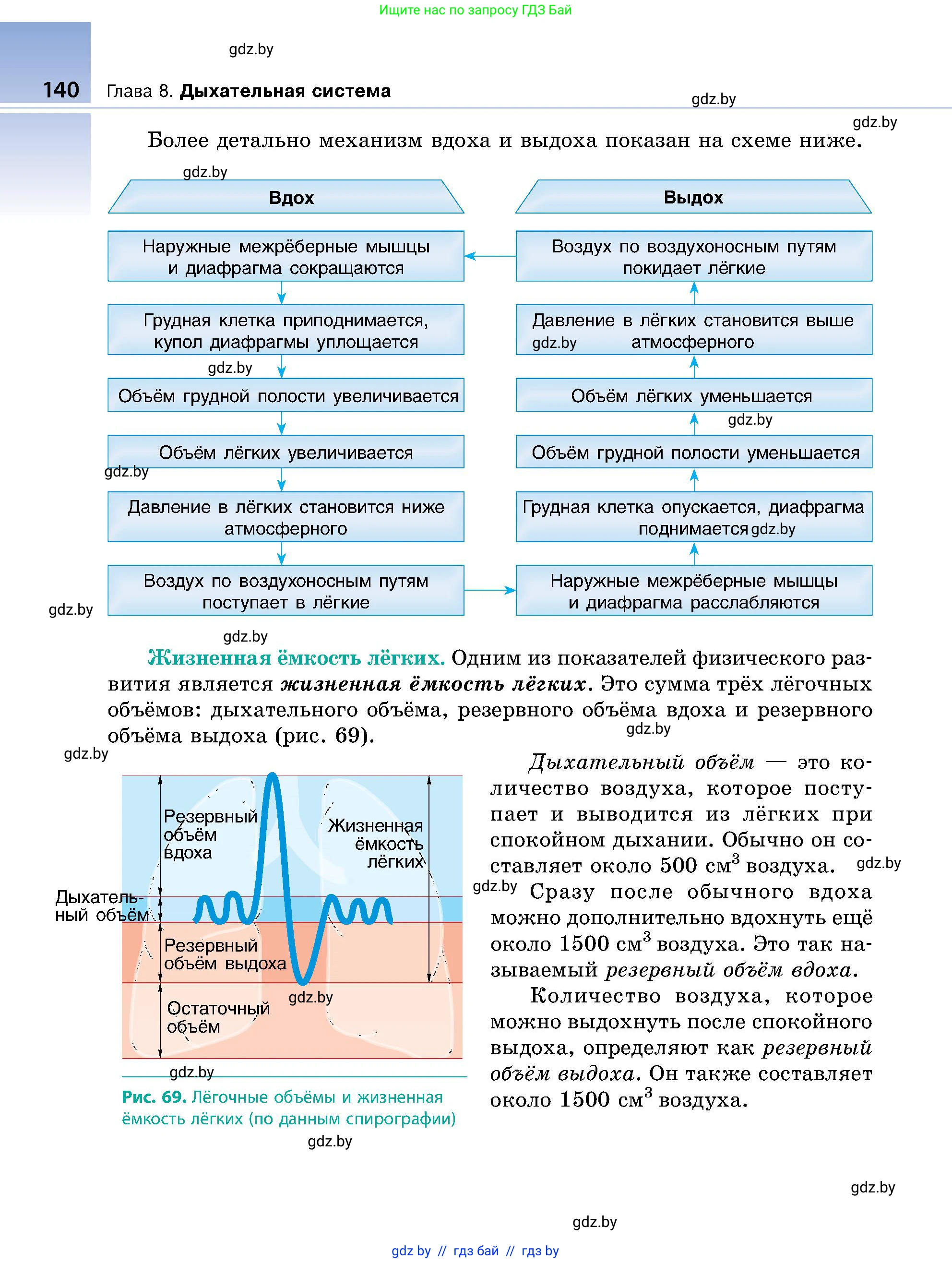 Биология, 9 класс Учебник, авторы: Борисов Олег Леонидович, Антипенко Алеся Анатольевна, Рогожников Олег Николаевич, издательство Адукацыя i выхаванне, Минск, 2025, бирюзового цвета, страница 140