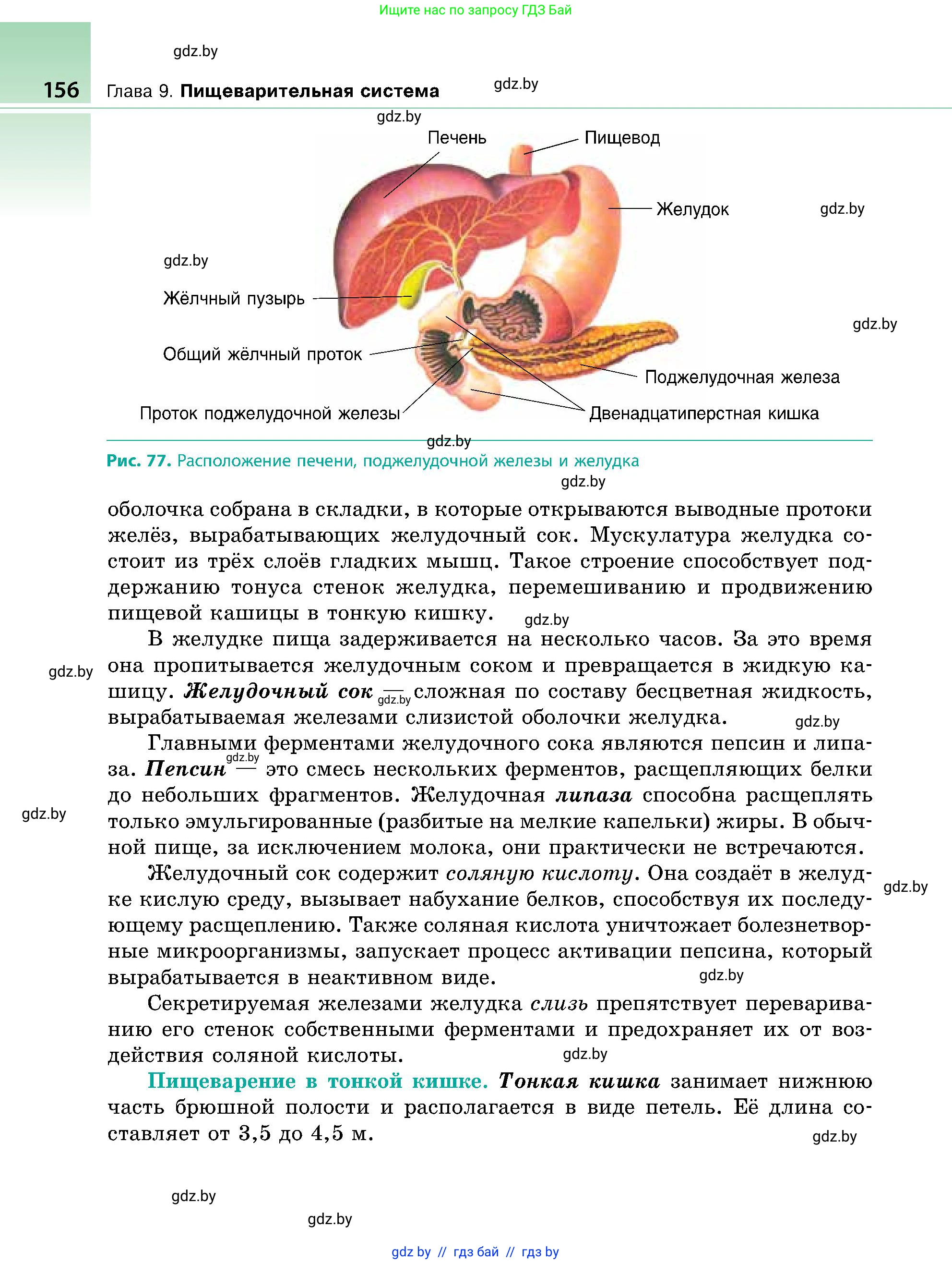 Биология, 9 класс Учебник, авторы: Борисов Олег Леонидович, Антипенко Алеся Анатольевна, Рогожников Олег Николаевич, издательство Адукацыя i выхаванне, Минск, 2025, бирюзового цвета, страница 156
