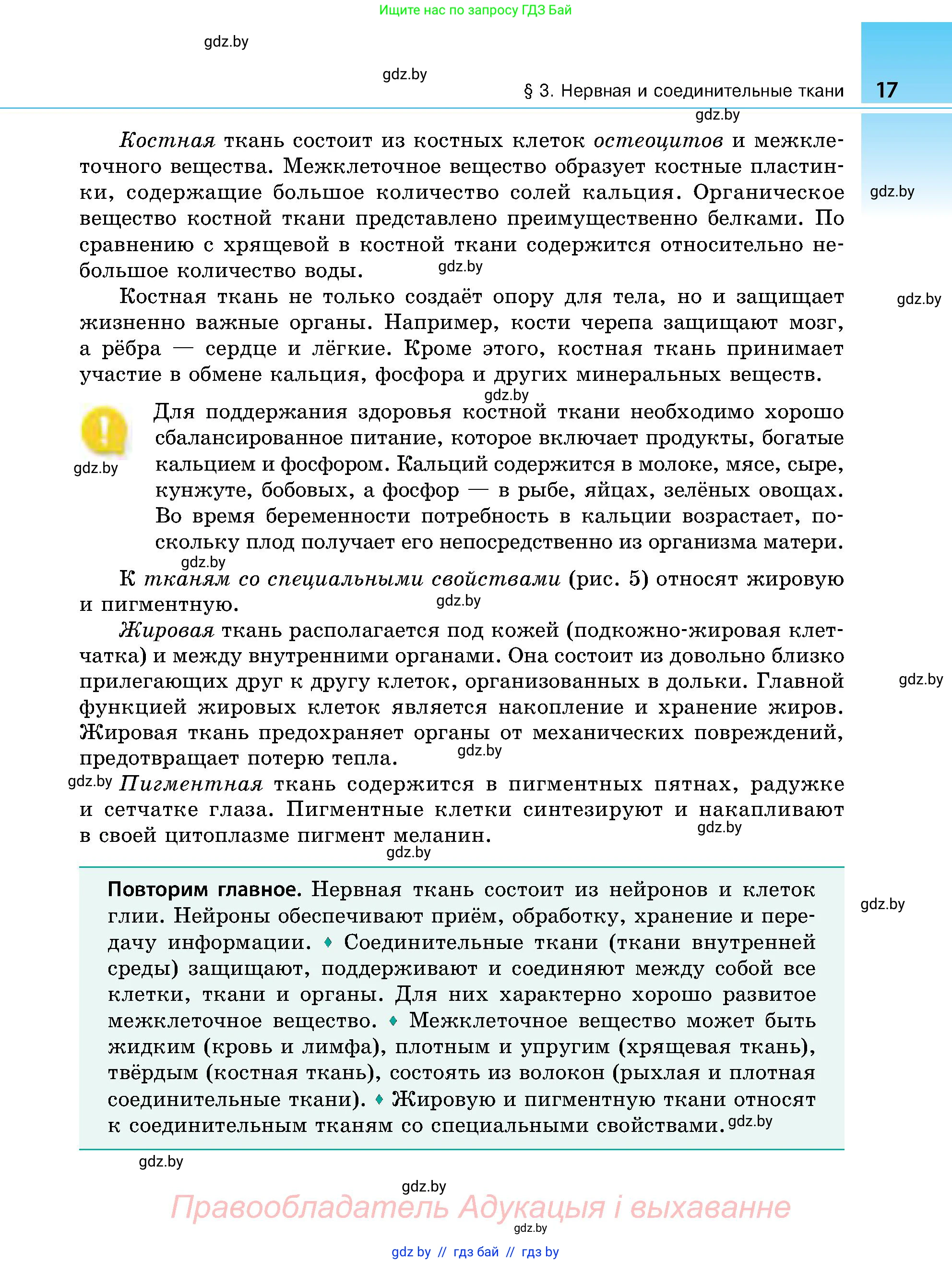 Биология, 9 класс Учебник, авторы: Борисов Олег Леонидович, Антипенко Алеся Анатольевна, Рогожников Олег Николаевич, издательство Адукацыя i выхаванне, Минск, 2025, бирюзового цвета, страница 17
