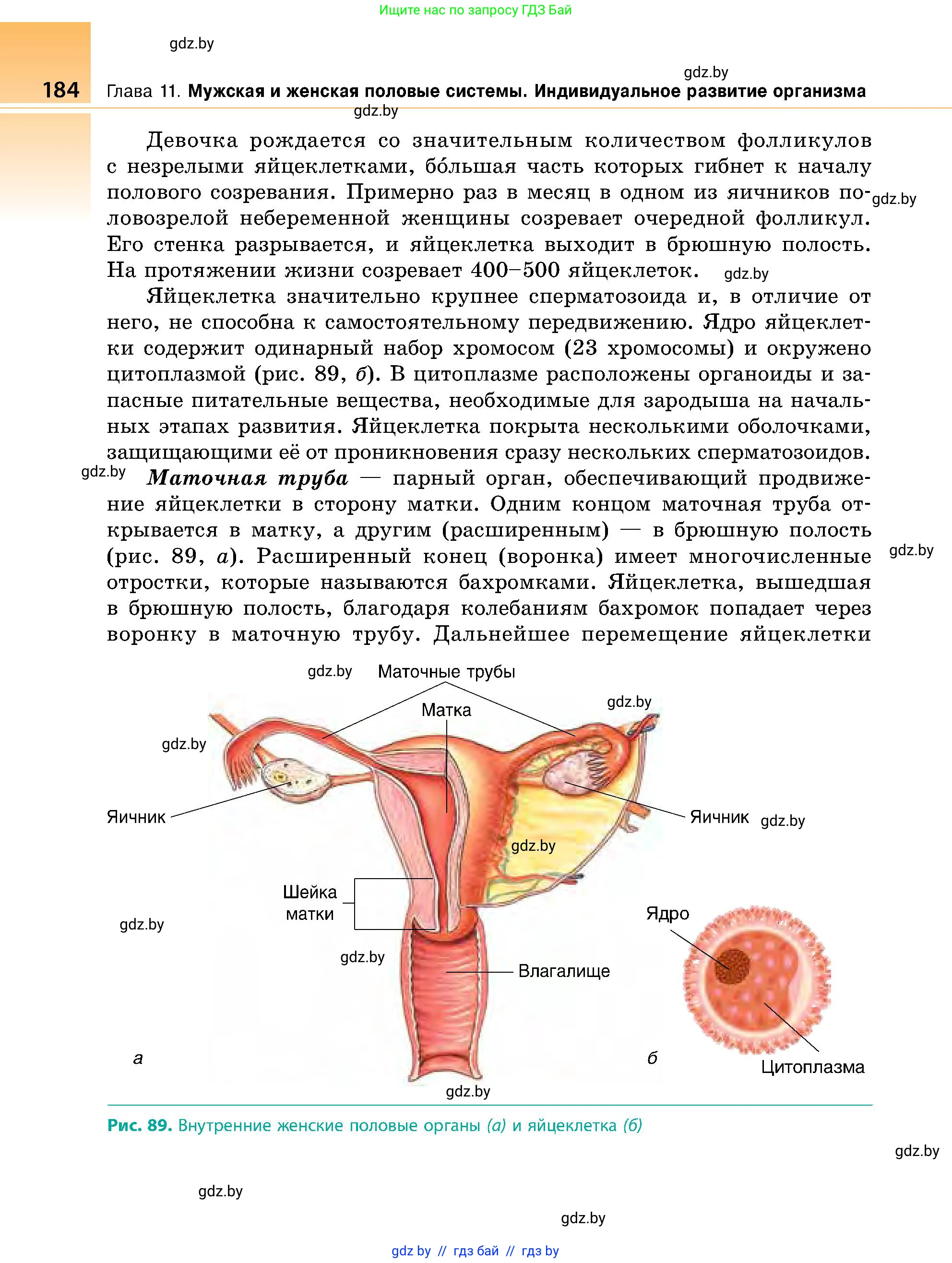 Биология, 9 класс Учебник, авторы: Борисов Олег Леонидович, Антипенко Алеся Анатольевна, Рогожников Олег Николаевич, издательство Адукацыя i выхаванне, Минск, 2025, бирюзового цвета, страница 184