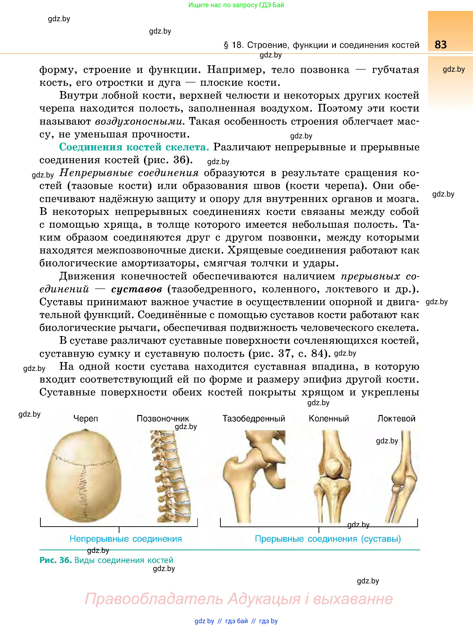 Биология, 9 класс Учебник, авторы: Борисов Олег Леонидович, Антипенко Алеся Анатольевна, Рогожников Олег Николаевич, издательство Адукацыя i выхаванне, Минск, 2025, бирюзового цвета, страница 83