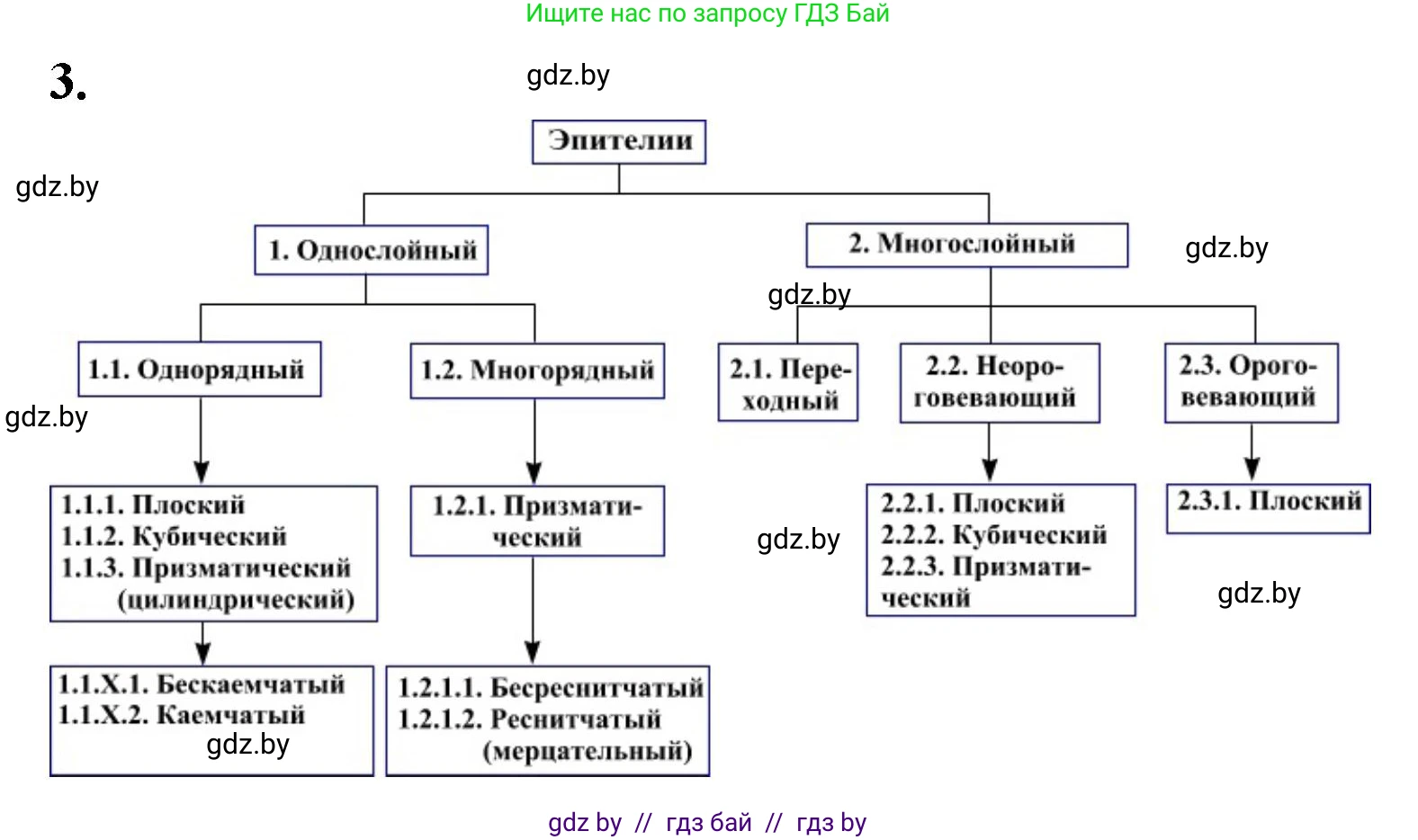 Биология, 9 класс рабочая тетрадь, автор: Лисов Николай Дмитриевич, издательство Аверсэв, Минск, 2021, оранжевого цвета, страница 5, номер 3, Решение