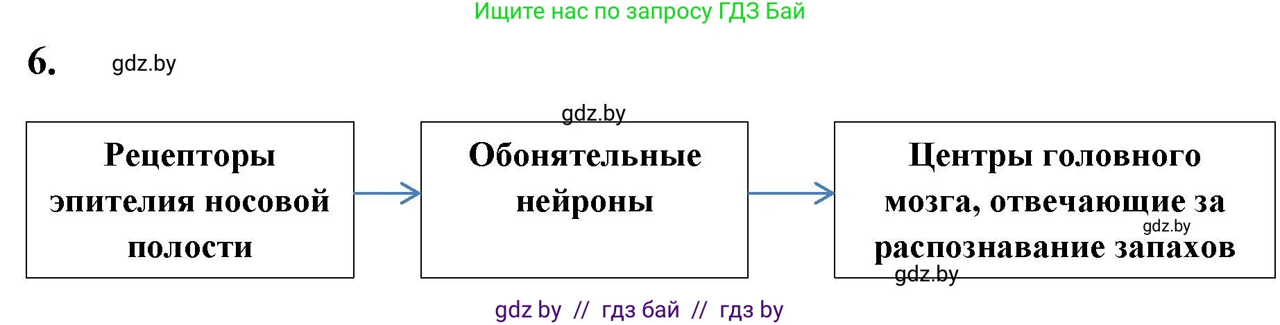 Биология, 9 класс рабочая тетрадь, автор: Лисов Николай Дмитриевич, издательство Аверсэв, Минск, 2021, оранжевого цвета, страница 27, номер 6, Решение