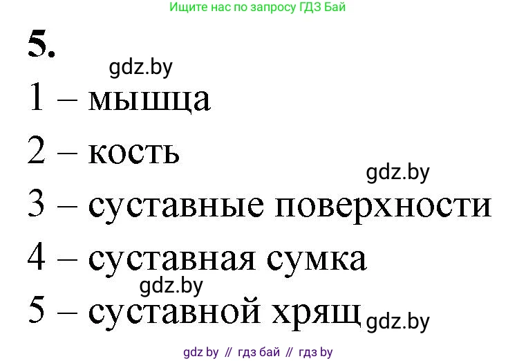 Биология, 9 класс рабочая тетрадь, автор: Лисов Николай Дмитриевич, издательство Аверсэв, Минск, 2021, оранжевого цвета, страница 38, номер 5, Решение