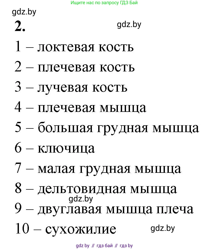 Биология, 9 класс рабочая тетрадь, автор: Лисов Николай Дмитриевич, издательство Аверсэв, Минск, 2021, оранжевого цвета, страница 46, номер 2, Решение