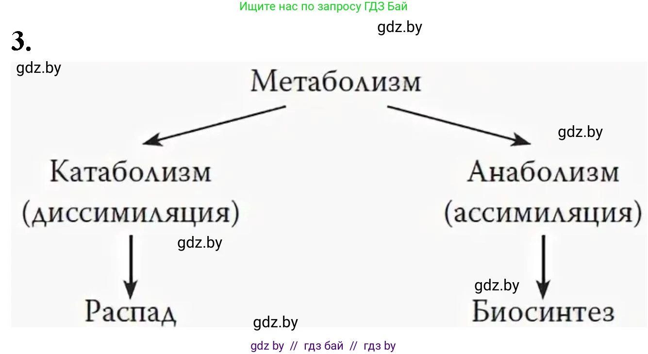 Биология, 9 класс рабочая тетрадь, автор: Лисов Николай Дмитриевич, издательство Аверсэв, Минск, 2021, оранжевого цвета, страница 100, номер 3, Решение