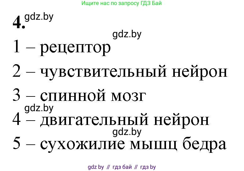 Биология, 9 класс тетрадь для демонстрационных опытов, лабораторных и практических работ, автор: Рогожников Олег Николаевич, издательство Сэр-Вит, Минск, 2023, оранжевого цвета, страница 9, номер 4, Решение