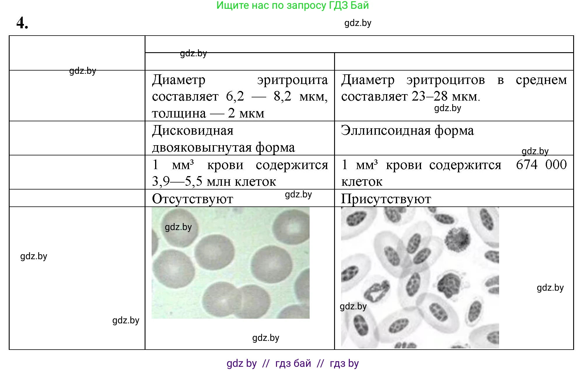 Биология, 9 класс тетрадь для демонстрационных опытов, лабораторных и практических работ, автор: Рогожников Олег Николаевич, издательство Сэр-Вит, Минск, 2023, оранжевого цвета, страница 16, номер 4, Решение