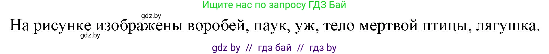 Биология, 10 класс Тетрадь для лабораторных и практических работ, автор: Хруцкая Тамара Викторовна, издательство Аверсэв, Минск, 2022, зелёного цвета, страница 19, номер 2, Решение (продолжение 2)