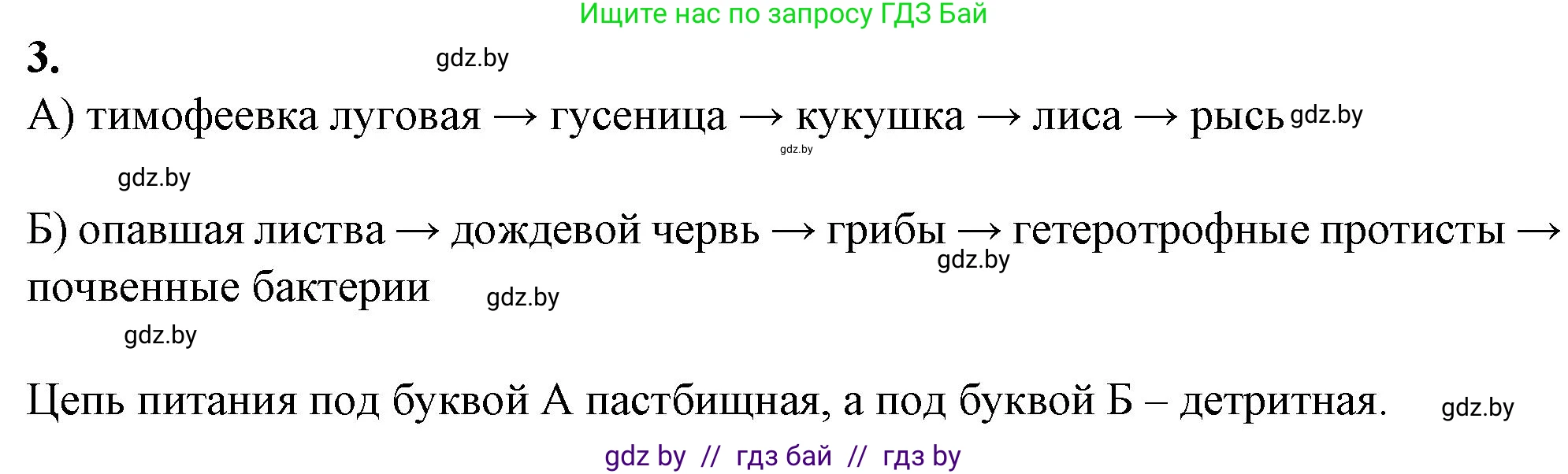 Биология, 10 класс Тетрадь для лабораторных и практических работ, автор: Хруцкая Тамара Викторовна, издательство Аверсэв, Минск, 2022, зелёного цвета, страница 20, номер 3, Решение