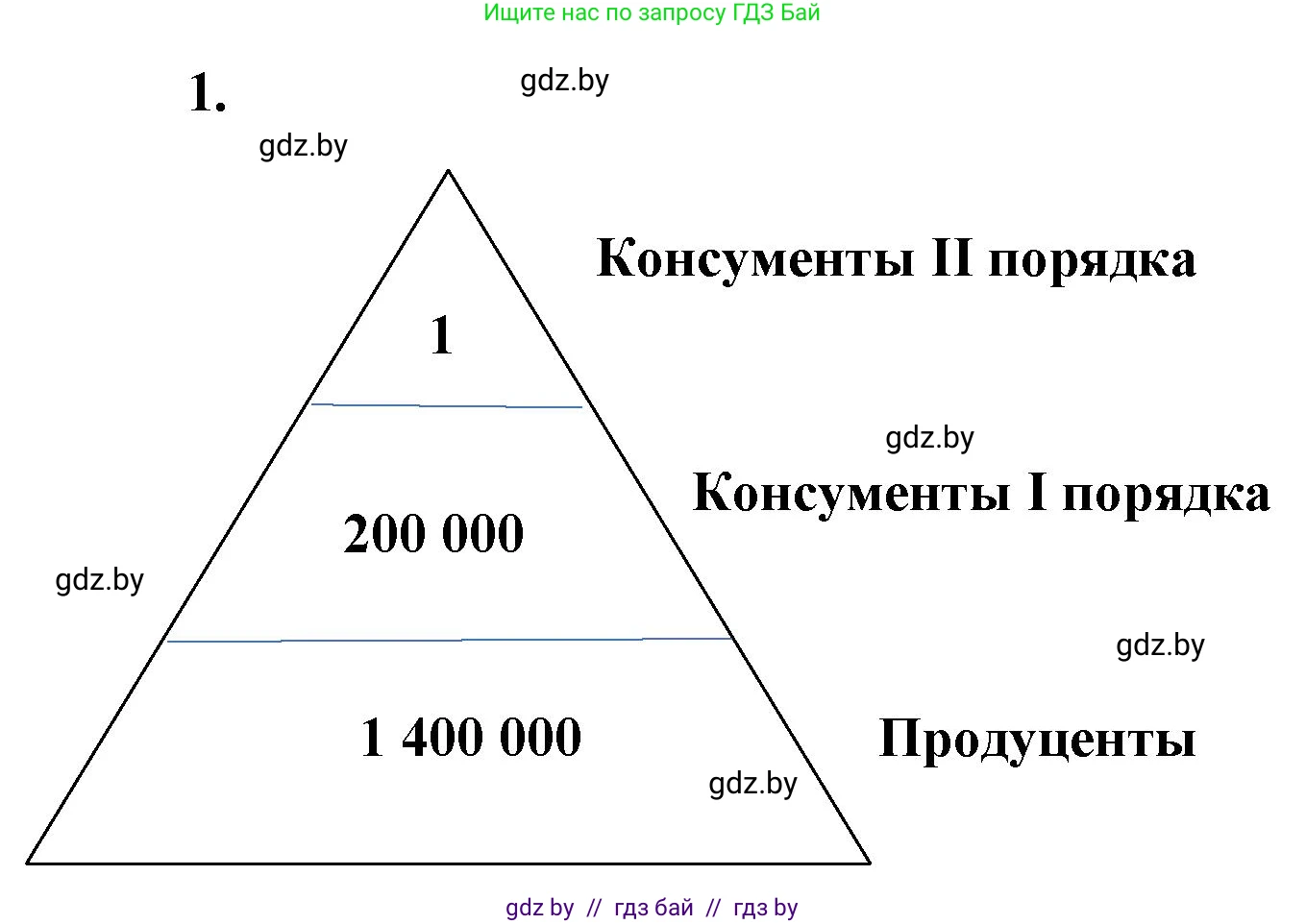 Биология, 10 класс Тетрадь для лабораторных и практических работ, автор: Хруцкая Тамара Викторовна, издательство Аверсэв, Минск, 2022, зелёного цвета, страница 29, номер 1, Решение