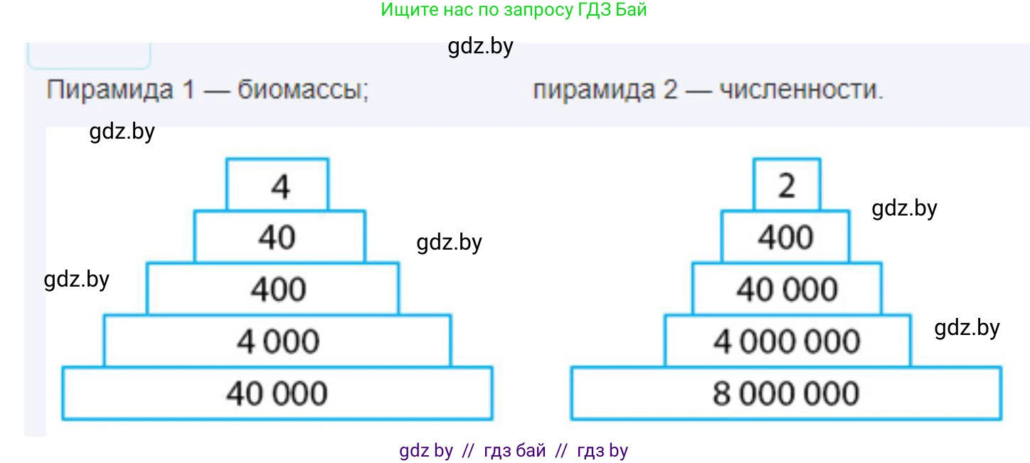 Биология, 10 класс Тетрадь для лабораторных и практических работ, автор: Хруцкая Тамара Викторовна, издательство Аверсэв, Минск, 2022, зелёного цвета, страница 30, номер 2, Решение