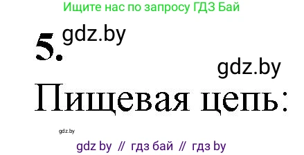 Биология, 10 класс Тетрадь для лабораторных и практических работ, автор: Хруцкая Тамара Викторовна, издательство Аверсэв, Минск, 2022, зелёного цвета, страница 31, номер 5, Решение