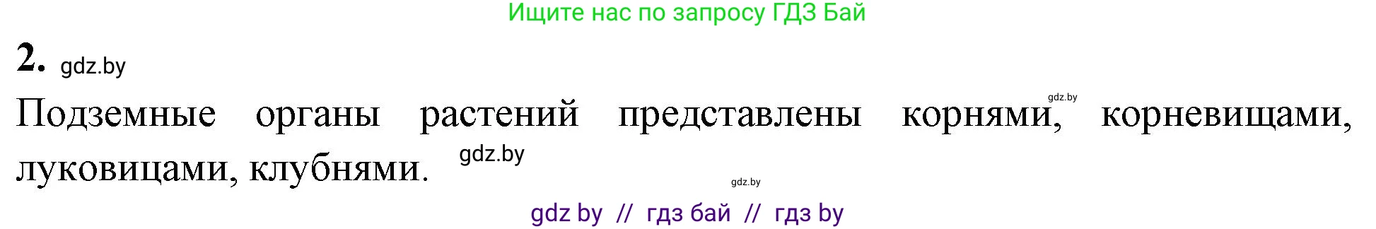Биология, 10 класс Тетрадь для лабораторных и практических работ, автор: Хруцкая Тамара Викторовна, издательство Аверсэв, Минск, 2020, зелёного цвета, страница 67, номер 2, Решение