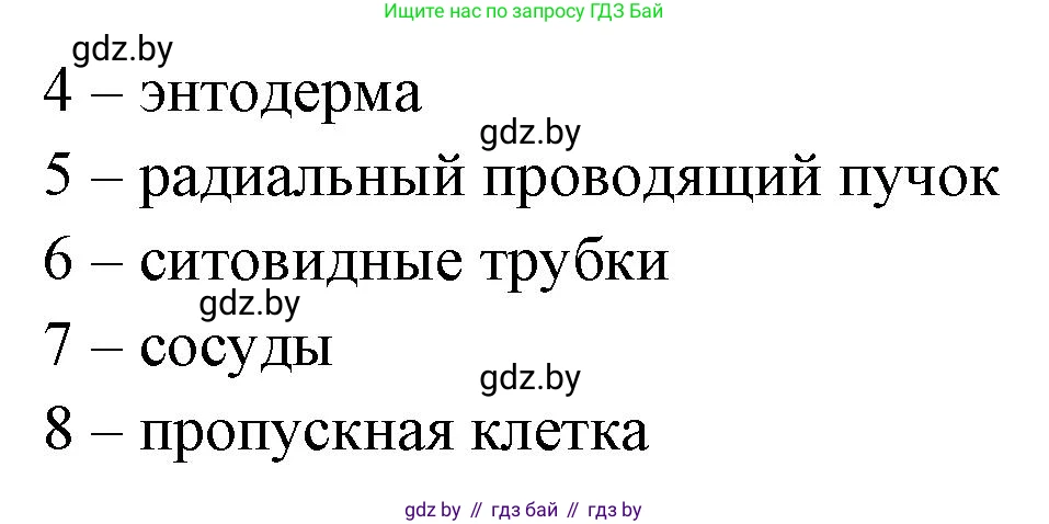 Биология, 10 класс Тетрадь для лабораторных и практических работ, автор: Хруцкая Тамара Викторовна, издательство Аверсэв, Минск, 2020, зелёного цвета, страница 9, номер 2, Решение (продолжение 2)
