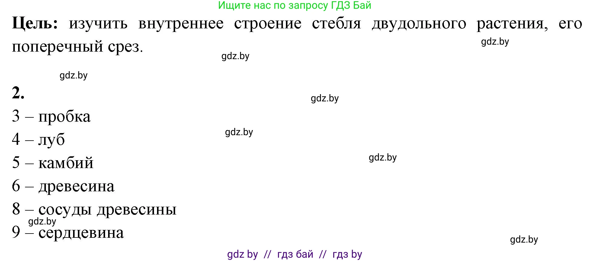 Биология, 10 класс Тетрадь для лабораторных и практических работ, автор: Хруцкая Тамара Викторовна, издательство Аверсэв, Минск, 2020, зелёного цвета, страница 12, номер 2, Решение