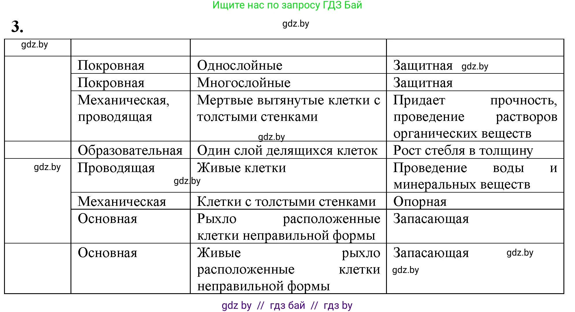 Биология, 10 класс Тетрадь для лабораторных и практических работ, автор: Хруцкая Тамара Викторовна, издательство Аверсэв, Минск, 2020, зелёного цвета, страница 13, номер 3, Решение