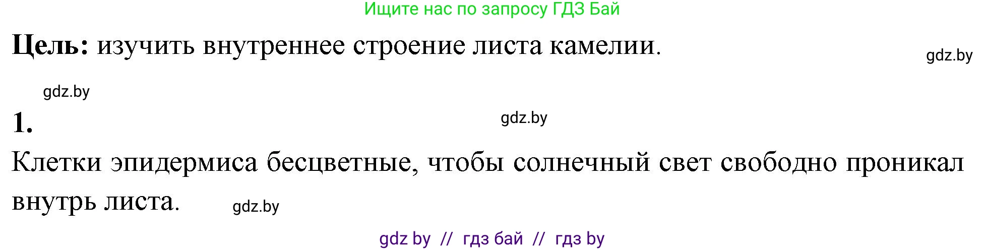Биология, 10 класс Тетрадь для лабораторных и практических работ, автор: Хруцкая Тамара Викторовна, издательство Аверсэв, Минск, 2020, зелёного цвета, страница 15, номер 1, Решение