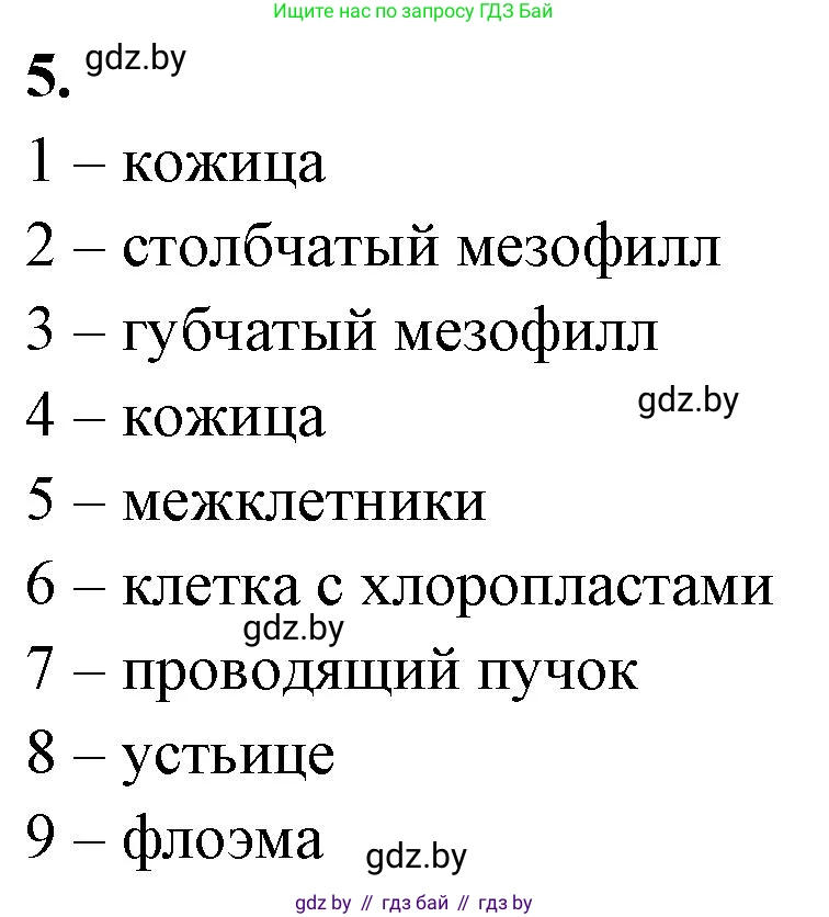 Биология, 10 класс Тетрадь для лабораторных и практических работ, автор: Хруцкая Тамара Викторовна, издательство Аверсэв, Минск, 2020, зелёного цвета, страница 16, номер 5, Решение