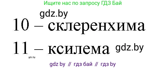 Биология, 10 класс Тетрадь для лабораторных и практических работ, автор: Хруцкая Тамара Викторовна, издательство Аверсэв, Минск, 2020, зелёного цвета, страница 16, номер 5, Решение (продолжение 2)